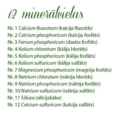12 sislera salu mineralvielas